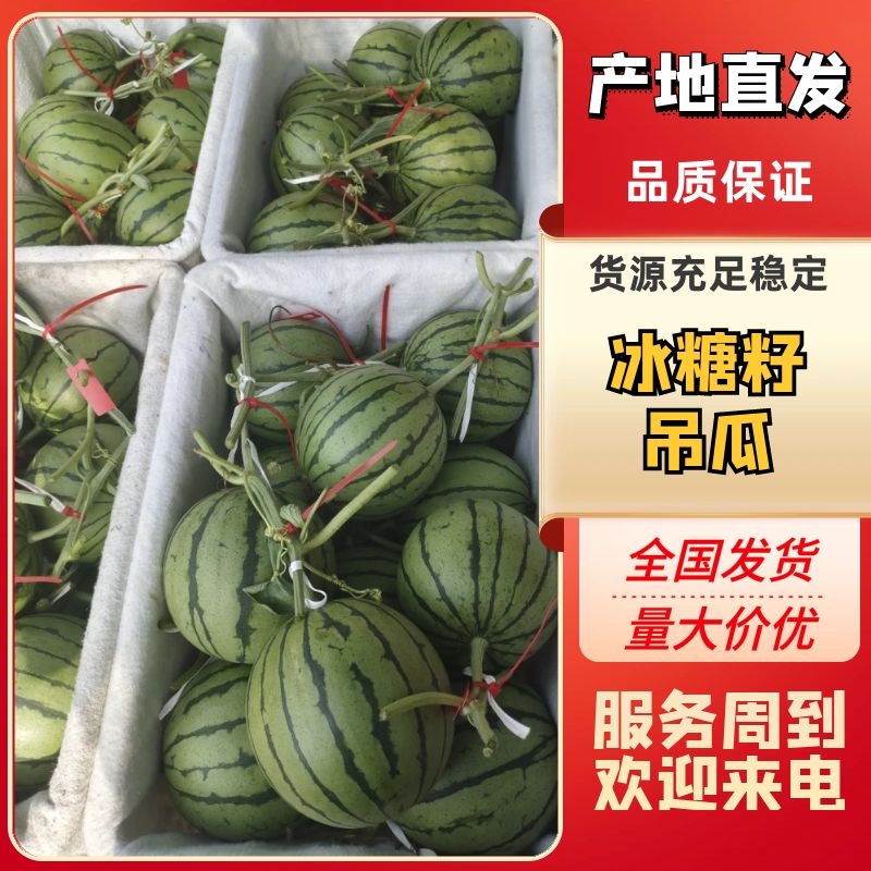 [小糖丸西瓜批发]山东潍坊昌乐县西瓜 1.50元/斤山东潍坊昌乐 _ 一亩田