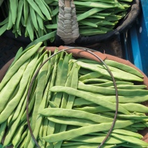 【热销】架梅（芸豆）扁青芸豆大量有货对接全国疏菜市场