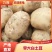 精品土豆，沃土5个头大，半斤以占百分之八十，欢迎来