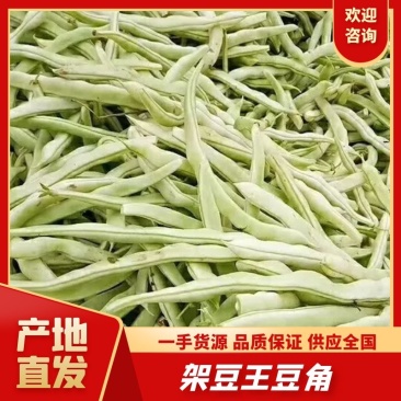 精品豆角白不老豆角陕西豆角架豆王现货条嫩条直，当天采摘新鲜