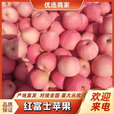 山东红富士苹果冷库现货一手货源批发电商价格优惠