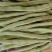 九粒白芸豆四季豆白不老可视频看货品质保证