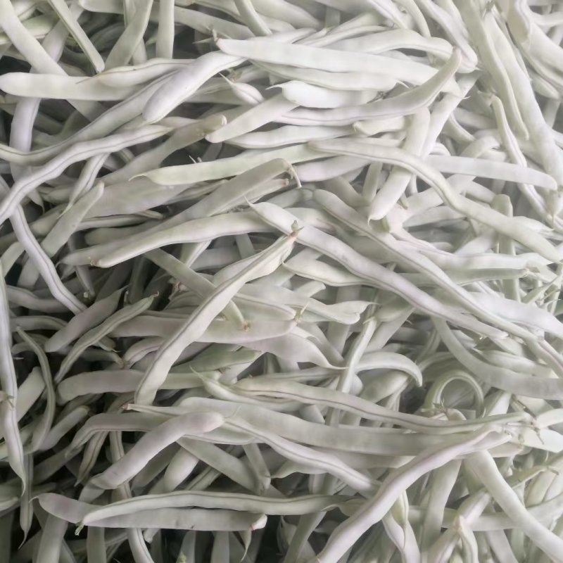 九粒白芸豆四季豆白不老可视频看货品质保证