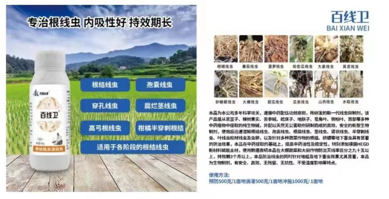 百线卫根结线虫终结者线虫特效生物制剂安全高效无残留持效长