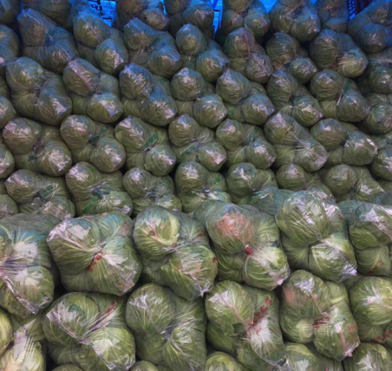 精品袋装甘蓝，大量供应，欢迎下单，诚信经营