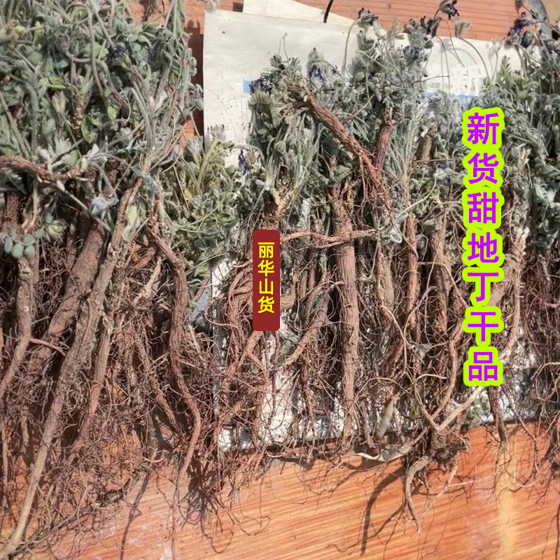 紫花甜地丁米口袋新鲜野生全国发货批发中药材整棵晒