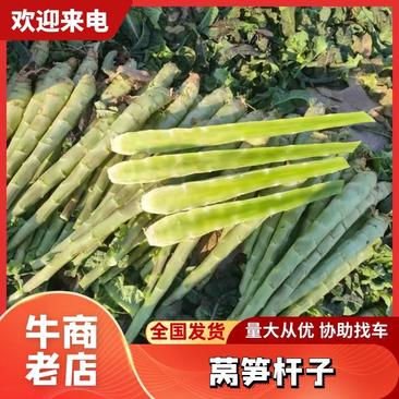 《莴笋杆子》天门莴苣-红叶香莴笋杆大量供应产地直发