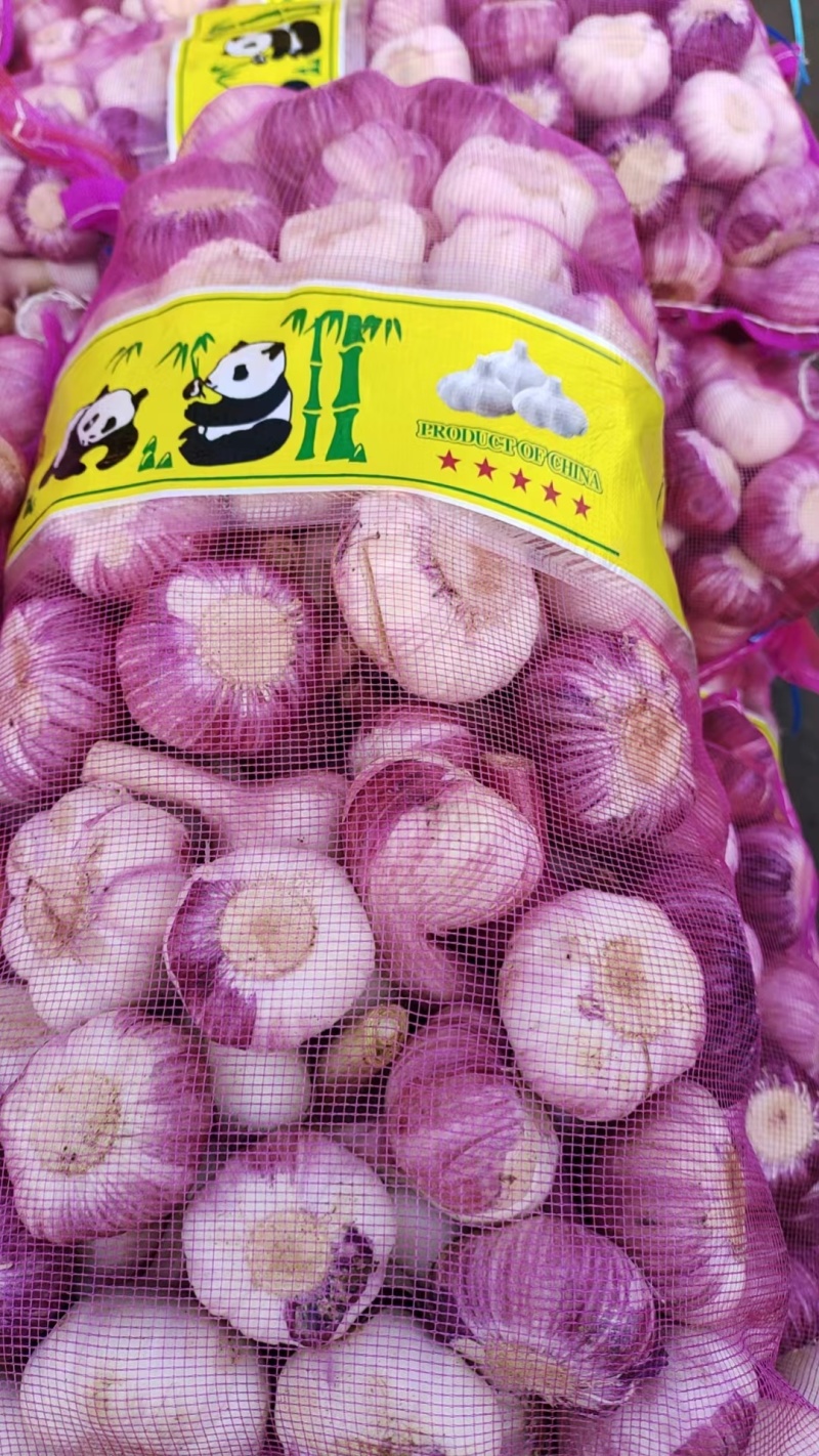 【精】大蒜河南新大蒜紫皮蒜-辣味十足-品质保障-回购超高