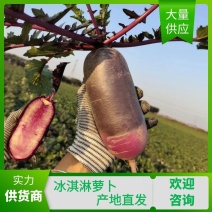 冰淇淋萝卜水果萝卜紫皮萝卜大量供应价格可谈欢迎来电