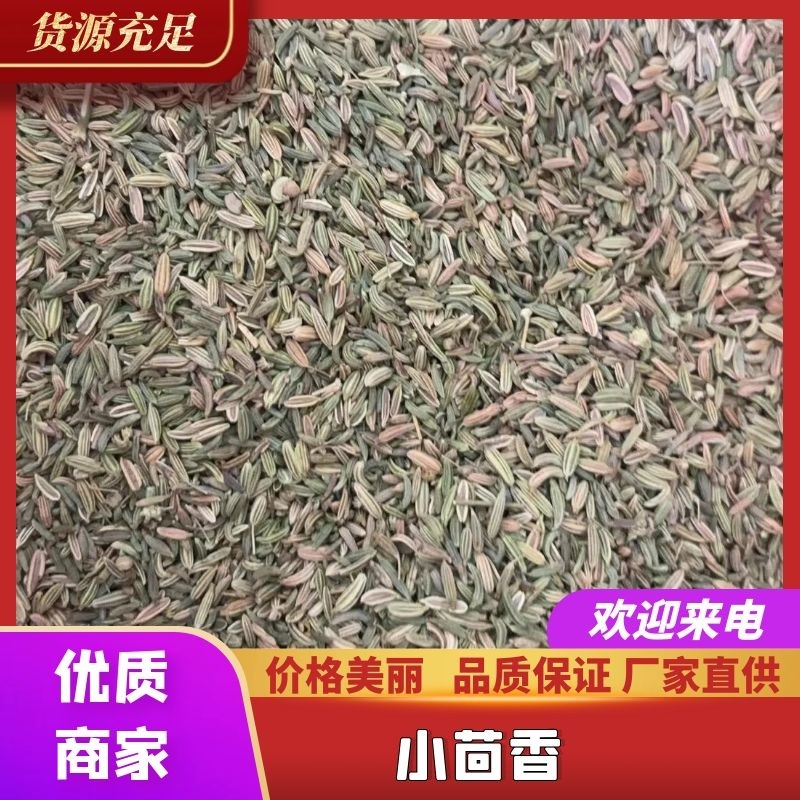 【全国发货】国产小茴香品质保障假一赔十