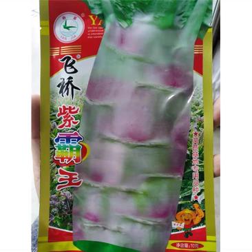 飞桥紫霸王莴笋种子，中晚熟，香味浓，皮薄，肉翠绿色，基地