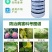 氟硅唑10%杀菌剂炭疽病树脂砂皮病梨树黄瓜白粉农药批发