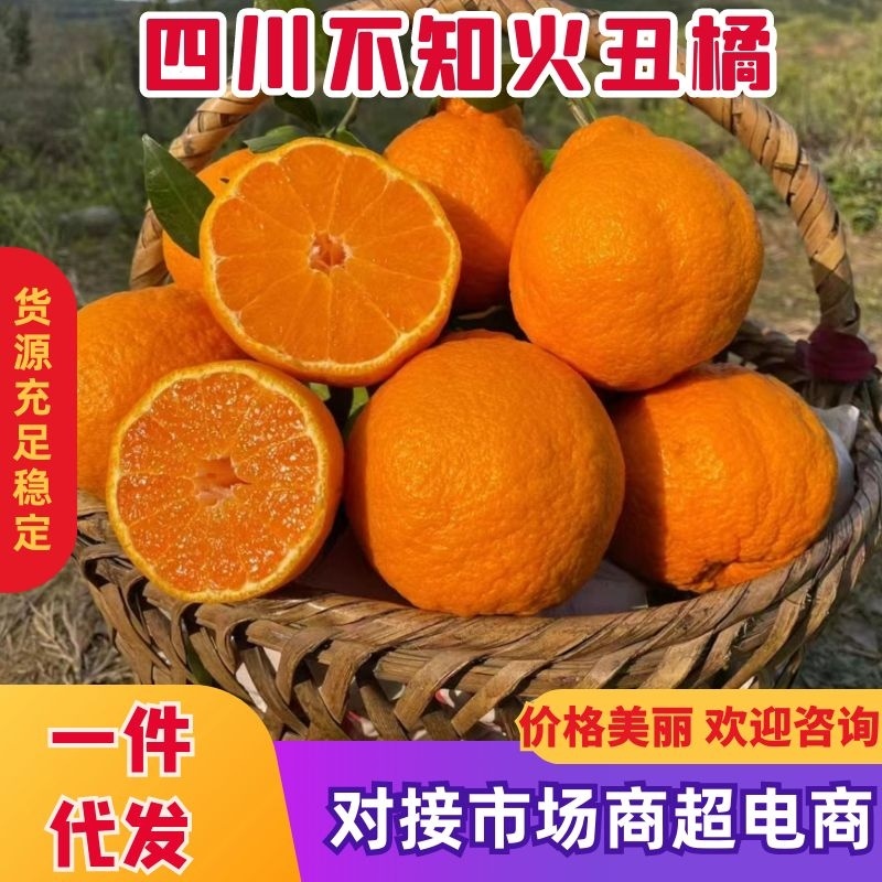 【一件代发】四川不知火丑橘现采现发八甜两酸新鲜采摘