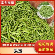 青豌豆陕西汉中豌豆大量上市颗粒饱满现采现发品质保障