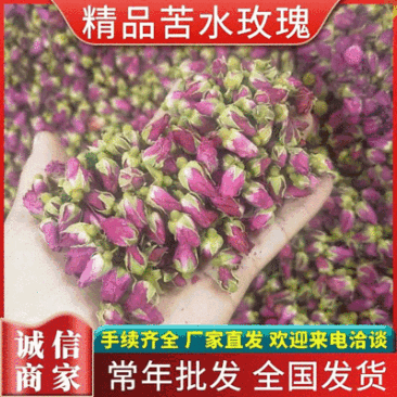 苦水玫瑰花蕾《菏泽》无硫品质保证常年批发厂家直供