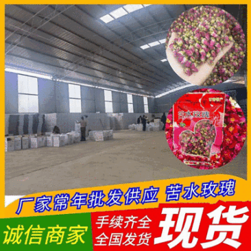 苦水玫瑰花蕾《荔湾》无硫品质保证常年批发厂家直供