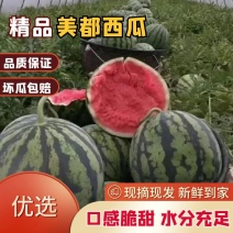 夏邑美都西瓜，头茬无籽，河南西瓜河南商丘麒麟西瓜