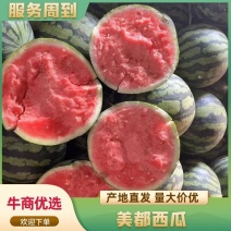 河南夏邑美都西瓜，价格不高，质量保证，，卢可全国代发