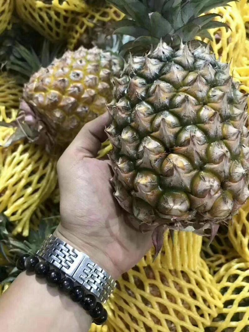 云南芒市菠萝无眼金钻凤梨全年供应一件代发社区团购