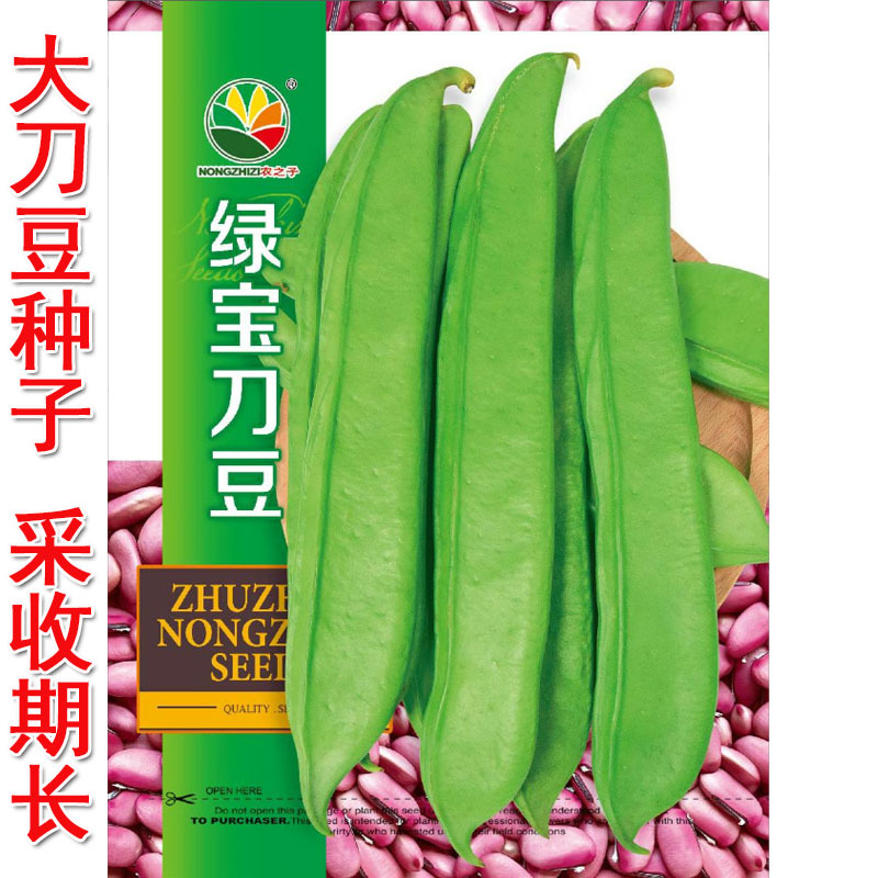 绿宝刀豆种子扁种籽宽扁四季豆荚翠绿厚肉耐高温高产