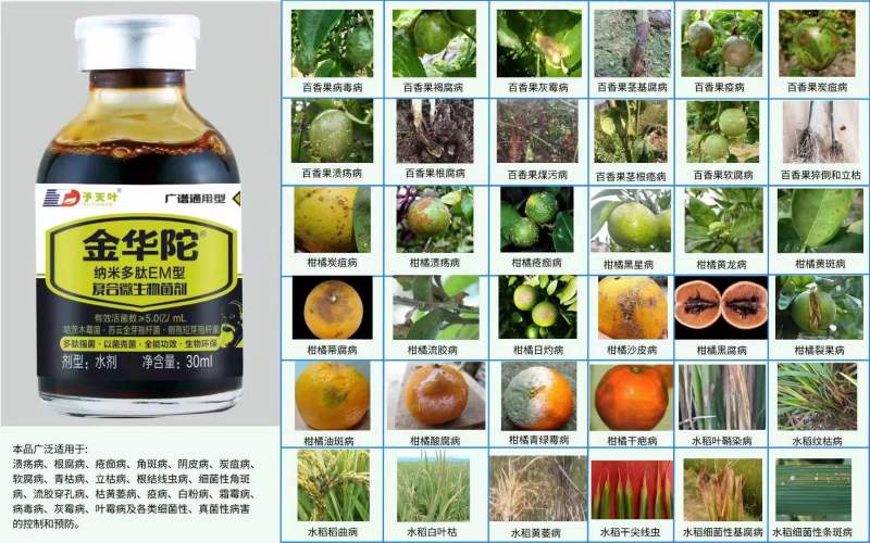 复合微生物菌肥哈茨木霉菌全能功效生物环保抑菌克菌