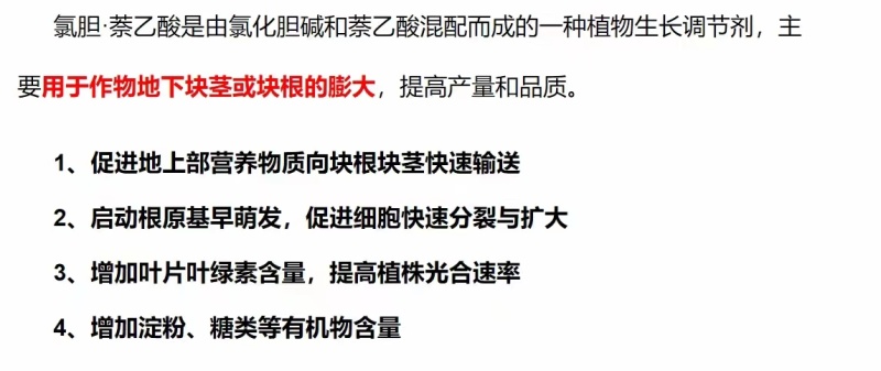 氯化胆碱氯胆萘乙酸植物生长调节剂土豆大蒜大姜花生红膨大剂