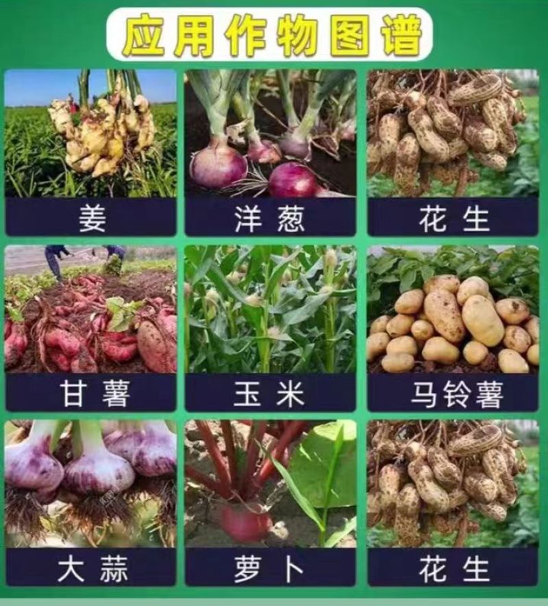 氯化胆碱氯胆萘乙酸植物生长调节剂土豆大蒜大姜花生红膨大剂