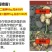 氯化胆碱氯胆萘乙酸植物生长调节剂土豆大蒜大姜花生红膨大剂