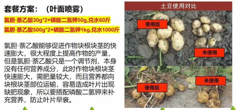 氯化胆碱氯胆萘乙酸植物生长调节剂土豆大蒜大姜花生红膨大剂