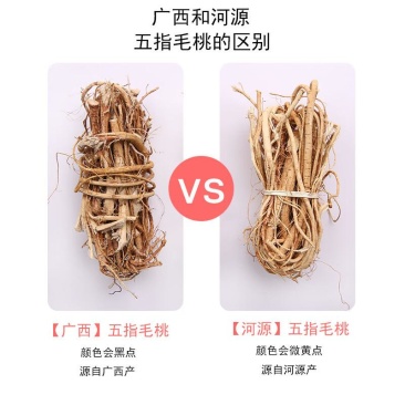 厂家直销五指毛桃正宗品质现货秒发