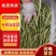 九粒白芸豆四季豆白不老可视频看货品质保证
