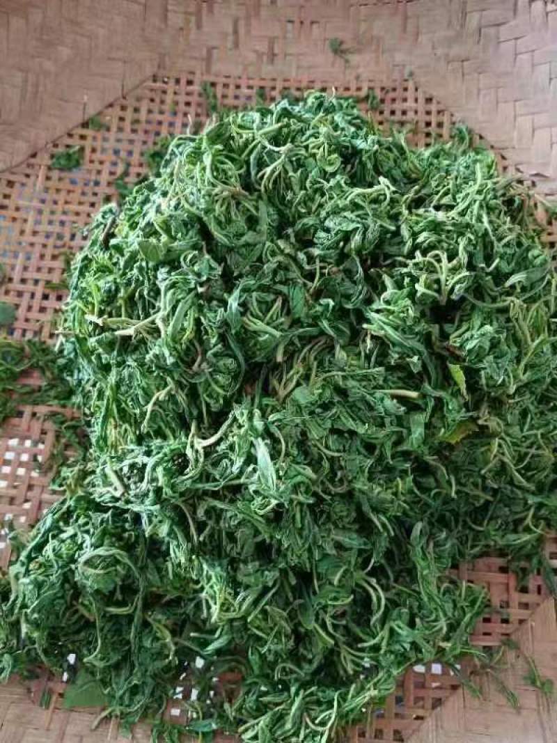 重庆巫溪蒲莲老鹰茶，百年古树，量大质优，价格优惠