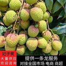 广东高州妃子笑荔枝，产地直发量大从优，24小时供货。