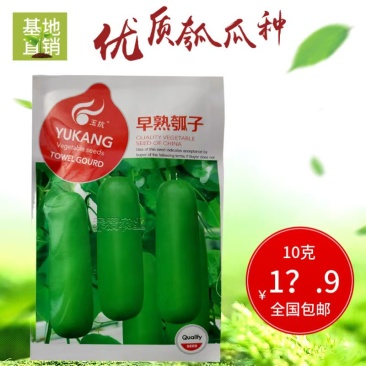 原装早熟瓠瓜种子短蒲瓜种籽甜瓠子瓜菜葫芦短棒农家四季蔬菜