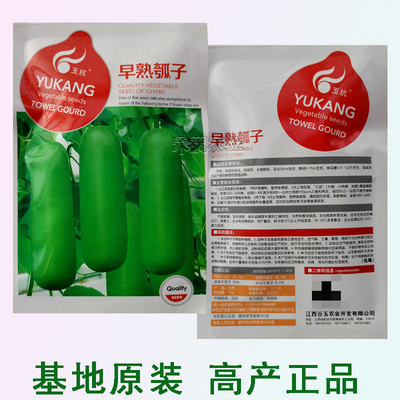 原装早熟瓠瓜种子短蒲瓜种籽甜瓠子瓜菜葫芦短棒农家四季蔬菜