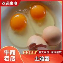 安徽六安土鸡蛋谷物喂养散养营养价值高规格齐全蛋托纸箱泡沫箱