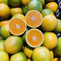 【优选】湖北夏橙大量上市皮薄多汁基地直发对接全国