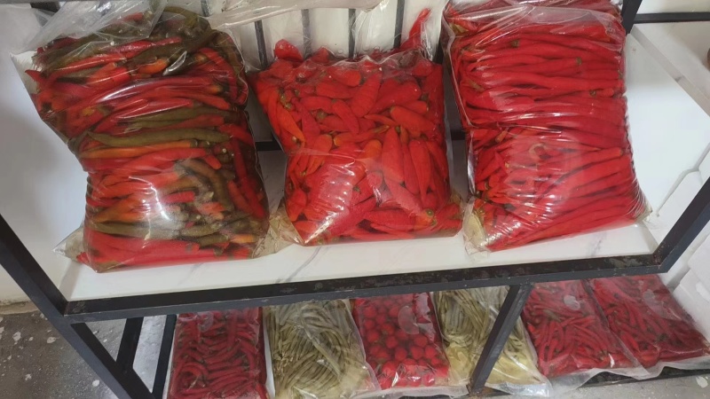 泡辣椒泡椒加工厂直发常年供货可对接各种市场