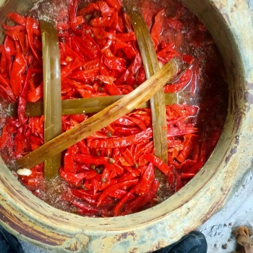 泡辣椒泡椒加工厂直发常年供货可对接各种市场