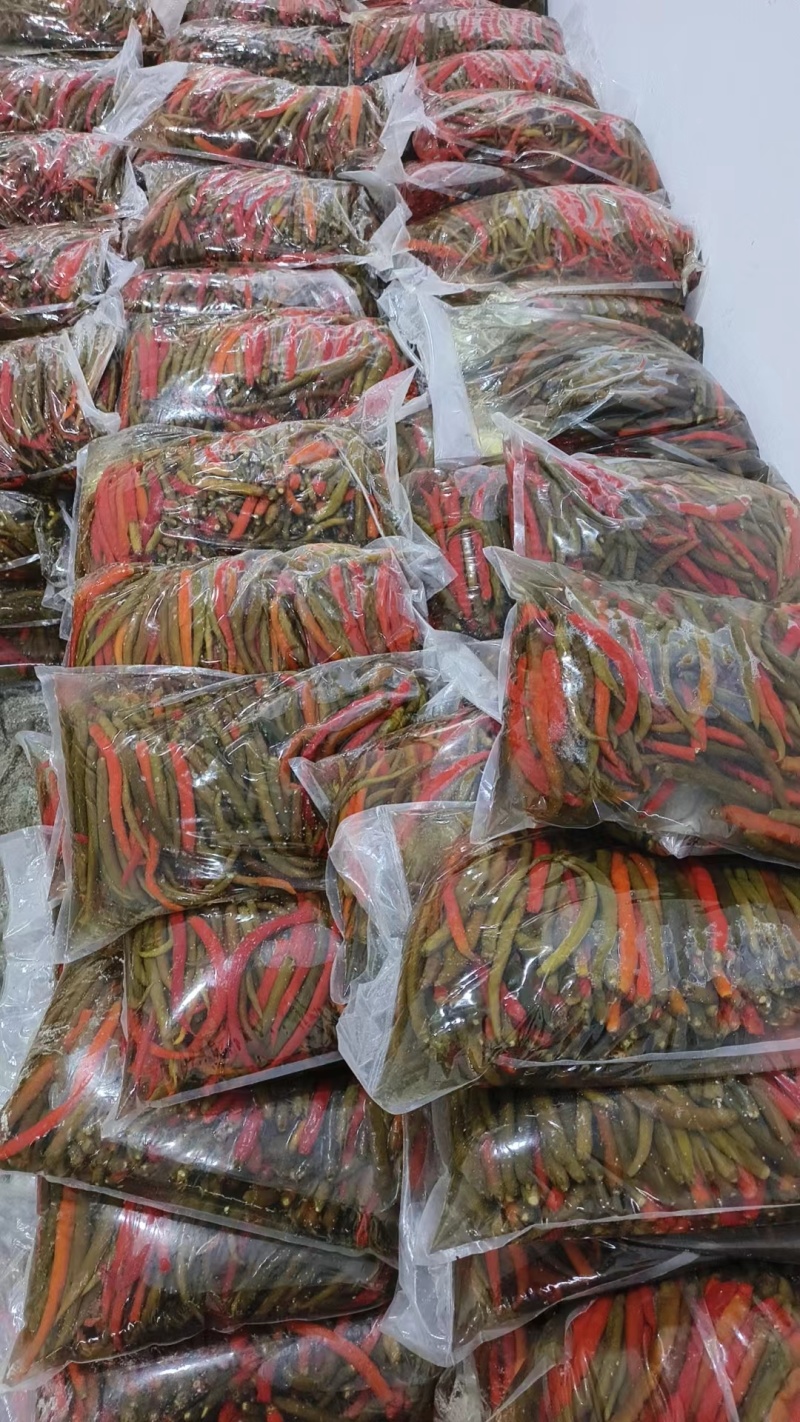 精品泡辣椒厂家直发一手货源常年稳定供货量大从优