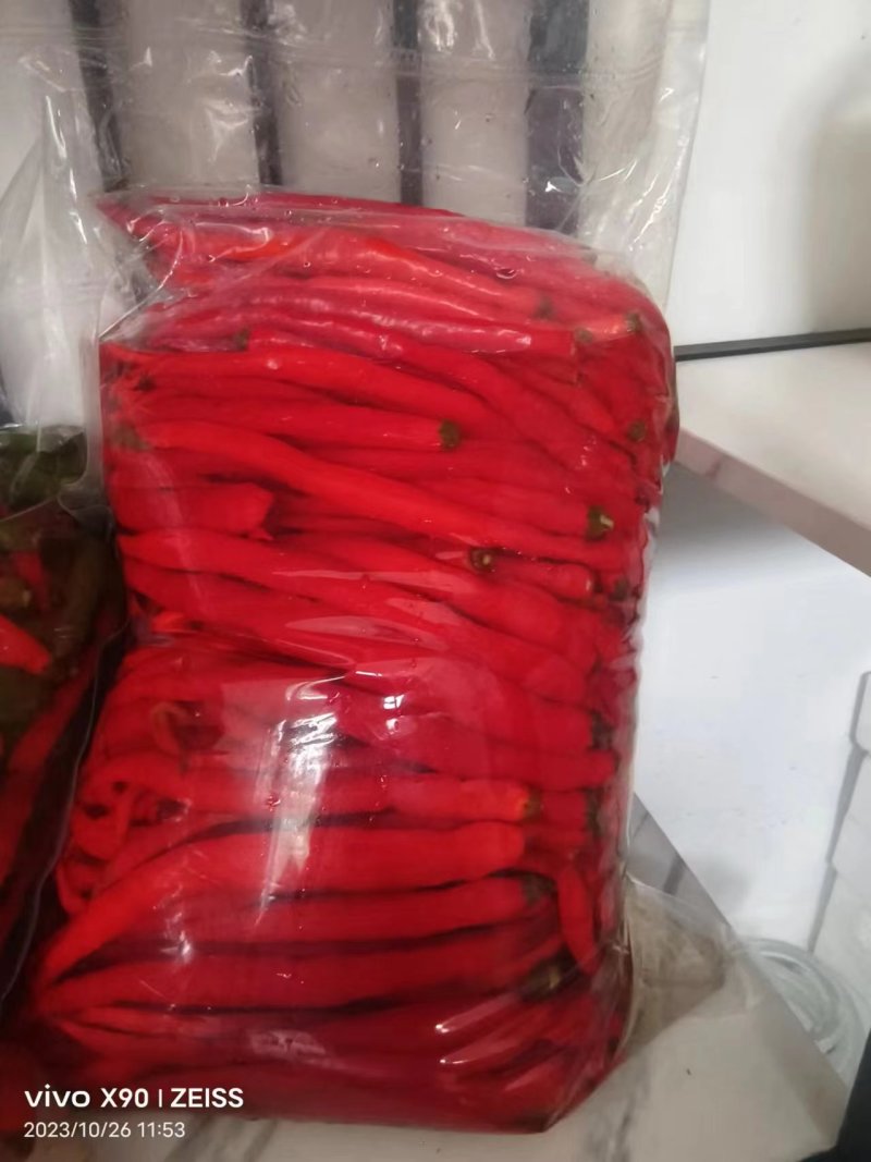 精品泡辣椒厂家直发一手货源常年稳定供货量大从优