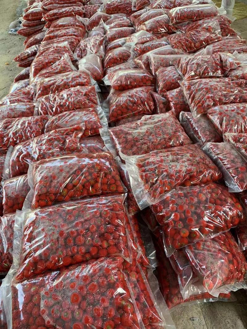 精品泡辣椒厂家直发一手货源常年稳定供货量大从优
