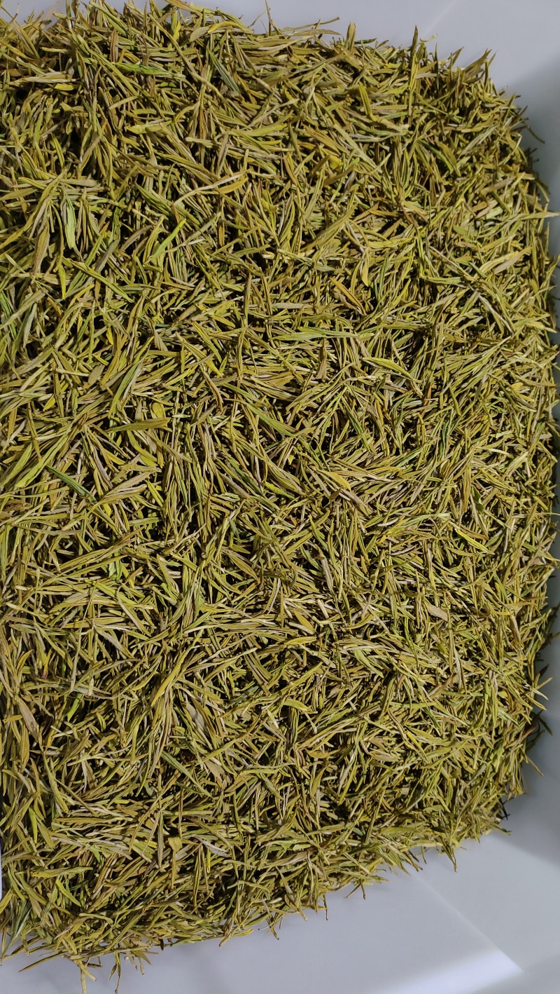 咸丰富硒白茶，大量种植，量大价格优惠，全国供应