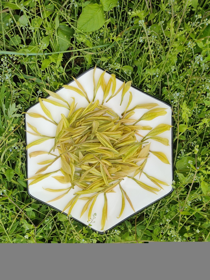 湖北恩施咸丰富硒茶，大量有货，欢迎各大采购商、批发商联系