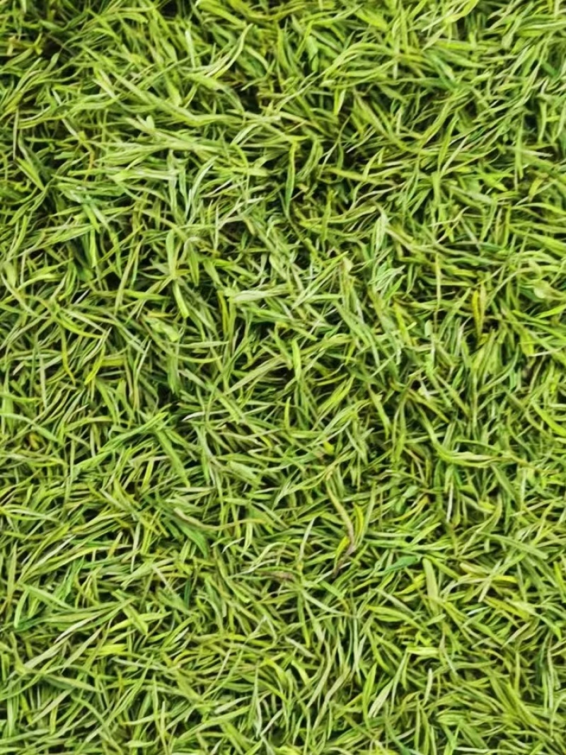 湖北恩施咸丰富硒茶，大量有货，欢迎各大采购商、批发商联系