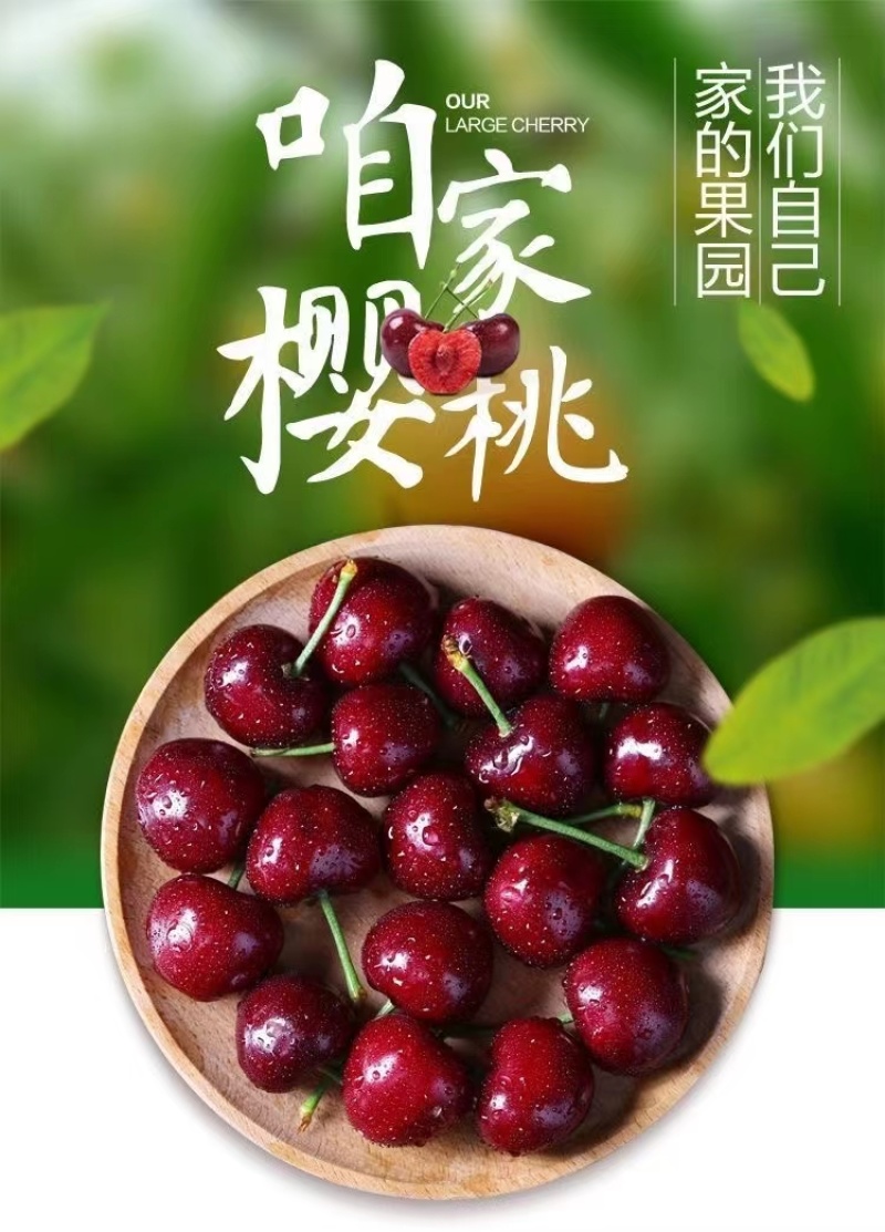 【优选】甘肃樱桃-美早樱桃一手货源优质货源诚信经营