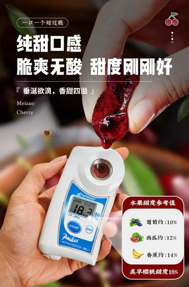 【优选】甘肃樱桃-美早樱桃一手货源优质货源诚信经营