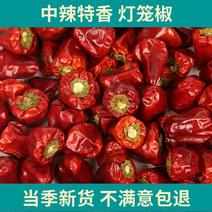 河南精品香辣灯笼椒，草莓椒，当季新货，货量充足，品质保证