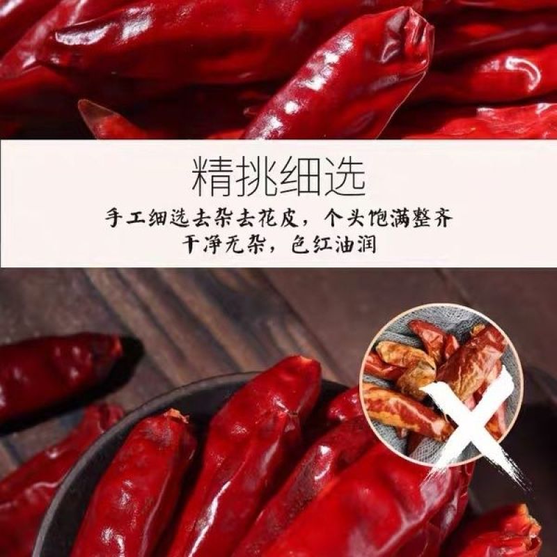 干辣椒三樱椒河南朝天椒新一代产地直发