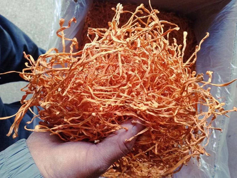 【虫草花干】虫草花颜色好干净无硫产地直发量大从优